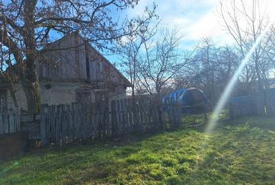 Casa de vanzare,Sacosu mare,6000m2,acte la zi,zona foarte linistita - 3