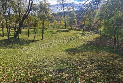 Teren de 1587 mp, în Arefu - 11
