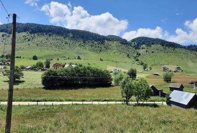 Teren de 1400 mp, în Șirnea - 3