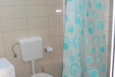 Apartament cu o camera Buziasului - 5