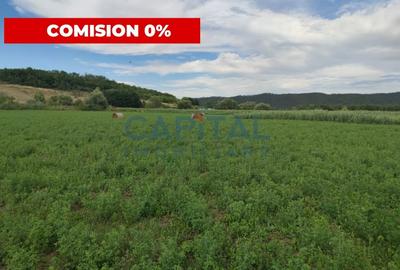 Teren agricol intravilan de 22400 mp, în Fundătura