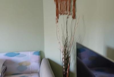 Apartament cu 3 camere decomandat în Ferdinand - 4