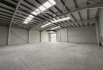 Inchiriere depozit/hala/spatiu industrial Chiajna - Chitila - Rudeni - 2