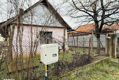 Casă cu 3 camere în Paleu - 8