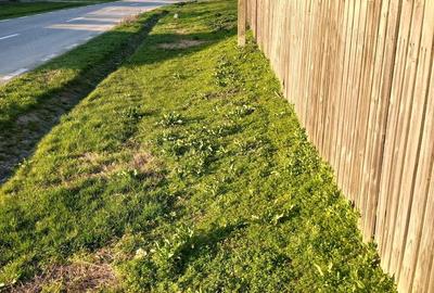 Casă cu 1 camere cu Teren 1700 Mp în Smirna - 2