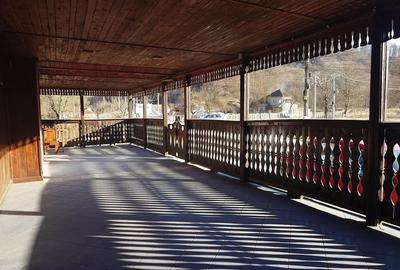 Proprietate in Apuseni - fosta pizzerie, ideala pentru afacere sau locuinta - 5