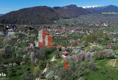 Spațiu comercial, în Bran - 12