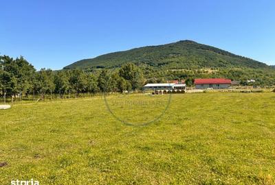 Teren de 700 mp, în Șieu