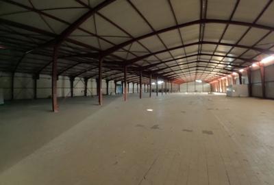 Spatiu industrial  pentru depozitare sau  productie DATA CENTER - 6