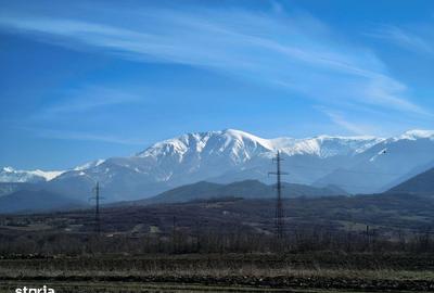 Teren de 2800 mp, în Turnu Roșu - 4