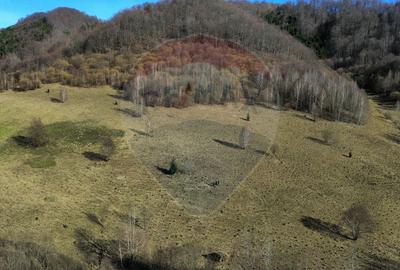Teren agricol extravilan de 16466 mp, în Mara - 13