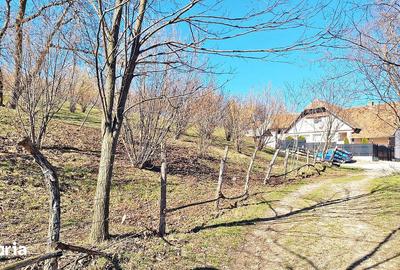 Teren de 17000 mp, în Central