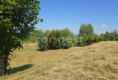 Teren Construcții intravilan de 1000 mp, în Sălicea - 6