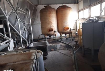Casă cu Teren 10500 Mp în Vârteșcoiu - 9