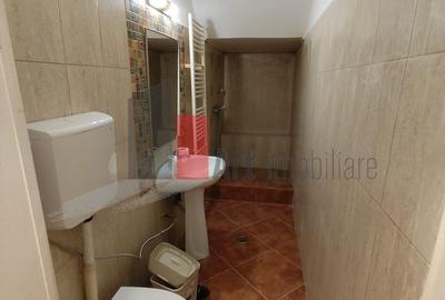 Casă individuală cu 4 camere cu Canalizare în Domenii - 20