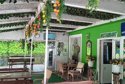 Vand pensiune si hotel la DN7/E81 Pitesti- Rm Valcea, teren 4 ha, 25euro/mp - 10