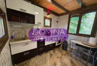 *Domeniu* cu poten?ial turistic - Bumbe?ti-Jiu - 17