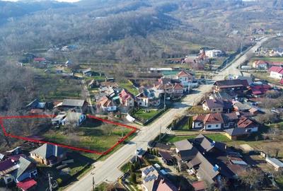 Casă în Domnești - 6