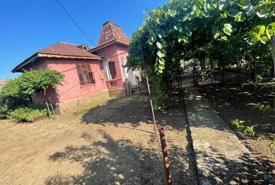 Casă cu 3 camere în Radovan - 5