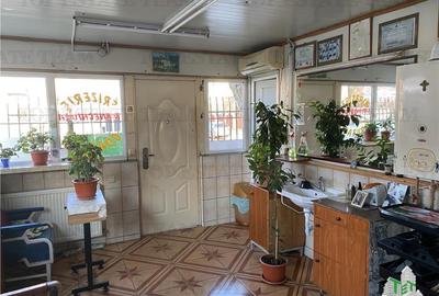 Casă individuală cu 4 camere cu Canalizare în Colentina - 15