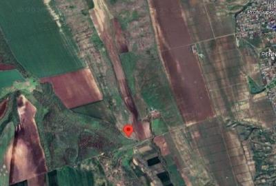 Teren extravilan Varlezi, cota parte 1/4, ID: R2730271 - 3