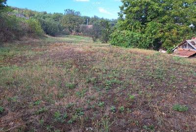 Vand casa cu teren in Cojocna - 5