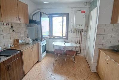 Apartament cu 3 camere decomandat în Buziașului - 2