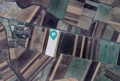 Teren Industrial in ?eitin, Jude?ul Arad - 2