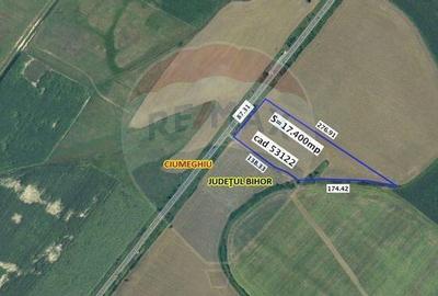Teren 17,400mp Ciumeghiu / Drumul DN79 - 2
