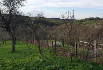 Casă cu 3 camere cu Teren 1850 Mp în Rod - 9