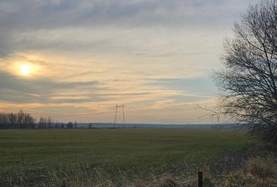 Teren agricol extravilan de 295413 mp, în Florești - 3