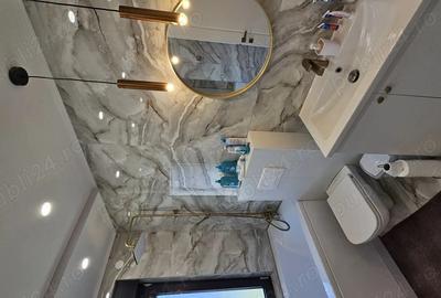 Casă cu Teren 550 Mp în Satu Nou de Jos - 10