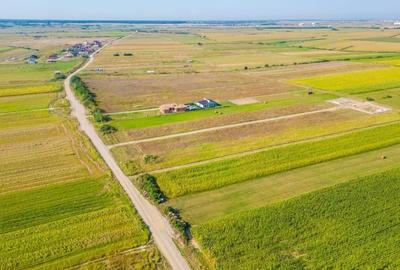 Teren de 500 mp, în Cihei - 6