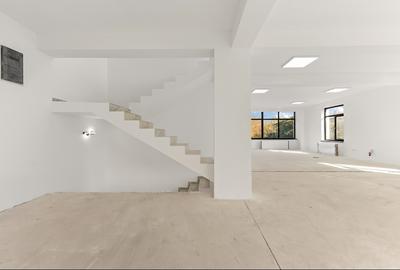 Spațiu comercial, de 410 mp, în Central - 5