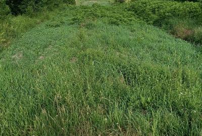 Teren de vânzare în apropiere de Herculane 10 km - 1