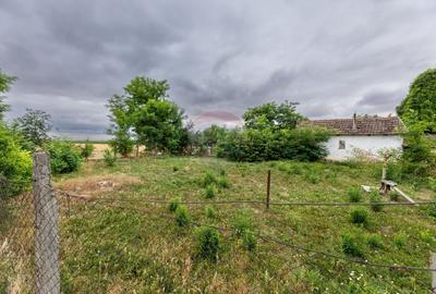 Casă individuală cu 3 camere cu Canalizare în Variașu Mare - 14