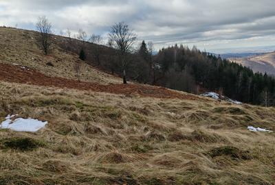 19,5 Ha  TEREN PEISAJ PANORAMIC SPECTACULOS zona turistica montana BULZ -  BIHOR - 4