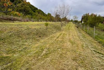 Teren de 1800 mp, în Livezile - 1