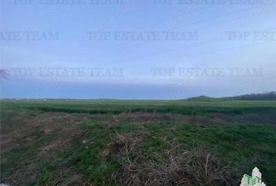 Teren de 15000 mp, în Central - 3