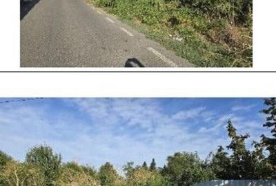 Teren intravilan Stefanestii de Jos cota parte 1/5, ID: R... - 3