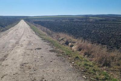 Teren de 3500 mp, în Pericei - 3