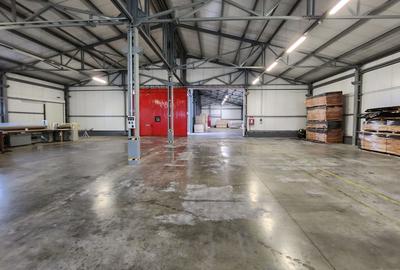 Spatiu industrial productie/ depozitare, Timiș - 12