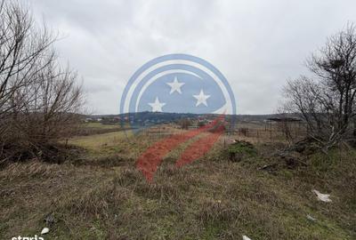 Spațiu comercial, în Beharca - 3