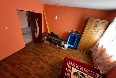 Casa de vanzare Dracea Jud. Teleorman - 2