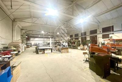 Hala industriala - zona Aradul Nou - 9