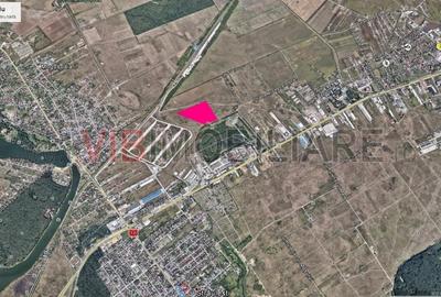 Mogosoaia - Ciupercarie, teren extravilan, suprafata 70.000 mp - 3