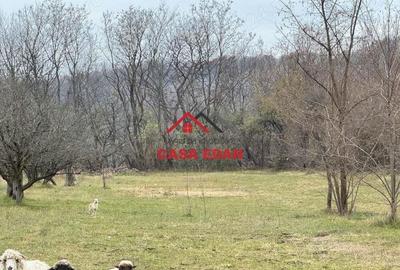 Casă cu Teren 2080 Mp în Brebu - 1