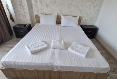 VILA TIP PENSIUNE DE INCHIRIAT | COICIU | UTILITATI INCLUSE | MOBILATA - 3