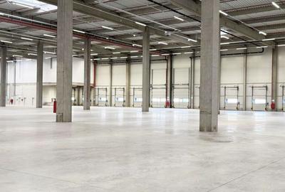 Hală industrială de închiriat, 2.900 mp, Arad - 2