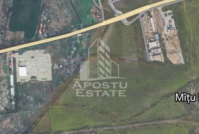 Parcela de teren 7781 mp, ideala investitie, zona Mehala. - 1